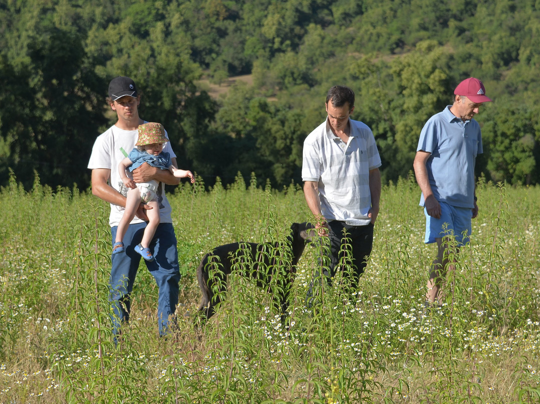 Valle del Arriero-Chimbarongo必去景点