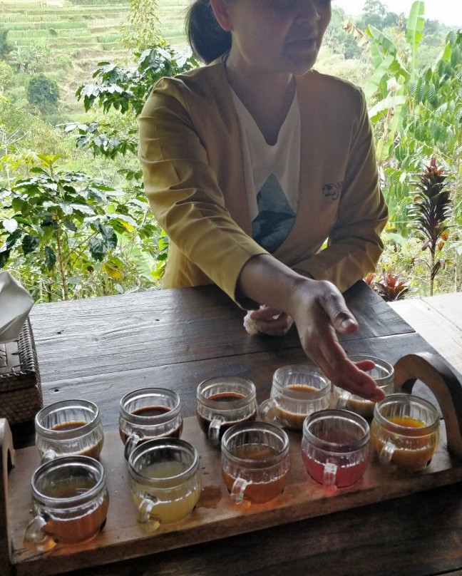 Gedays Bali Tours景点图片