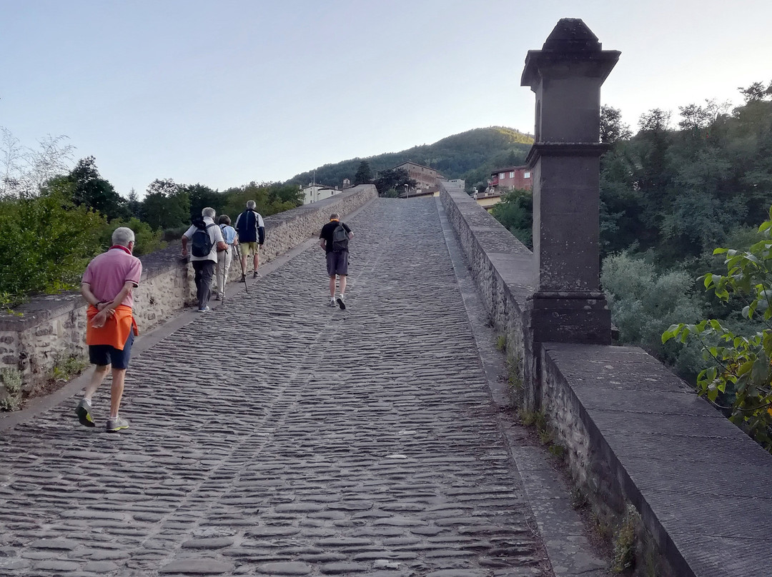 Ponte Alidosi (ponte rinascimentale a Schiena d'Asino)景点图片
