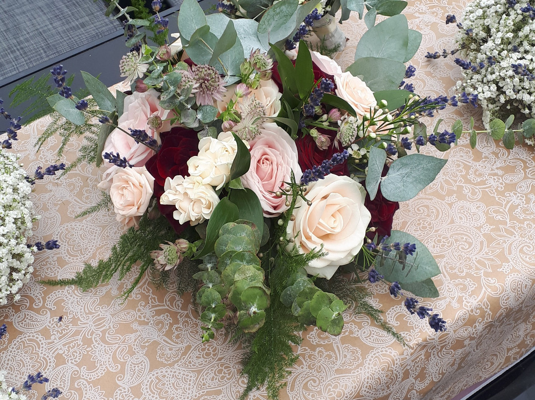 Martinstown House主图