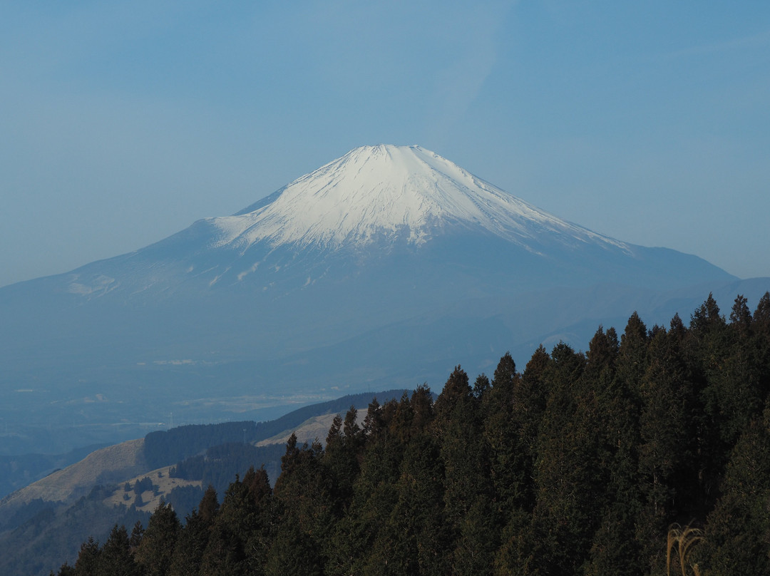 Mt. Takamatsuyama景点图片