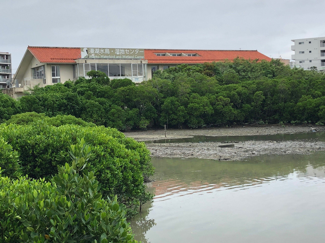 Manko Waterbird and Wetland Center景点图片