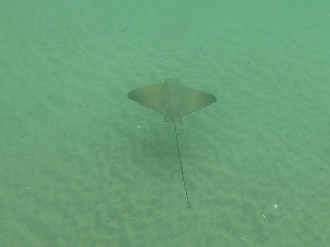 SD Expeditions-拉荷亚必去景点