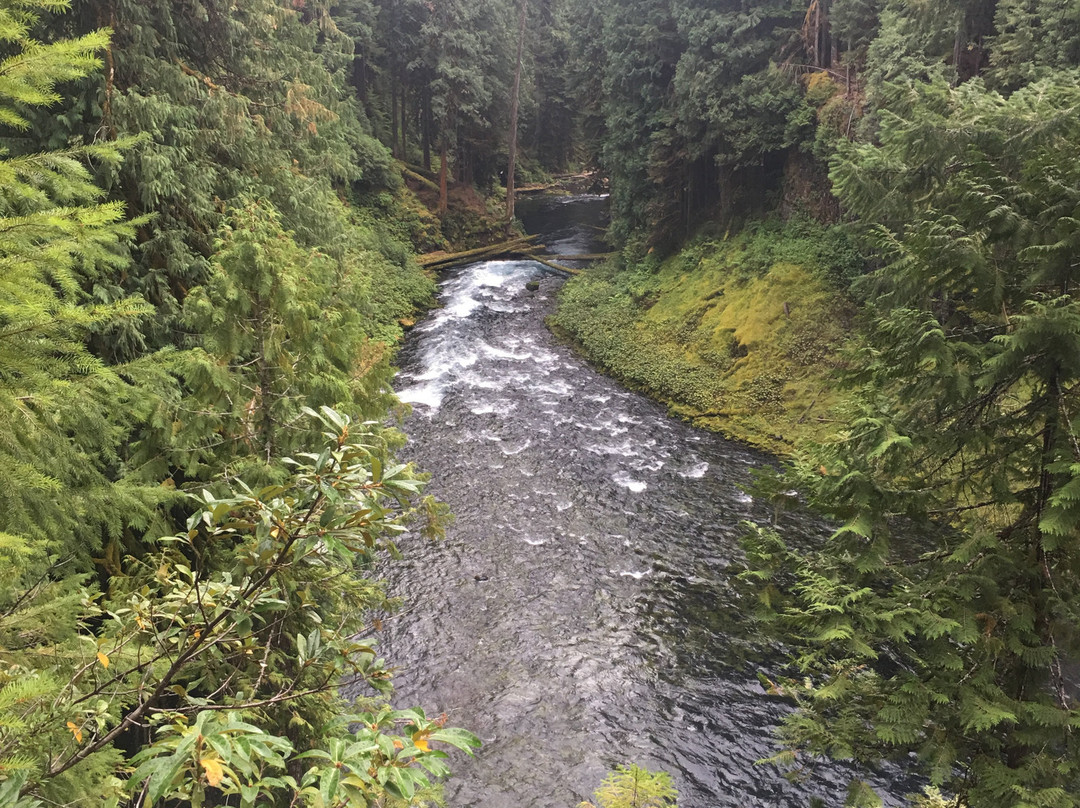 McKenzie River National Recreation Trail-尤金必去景点