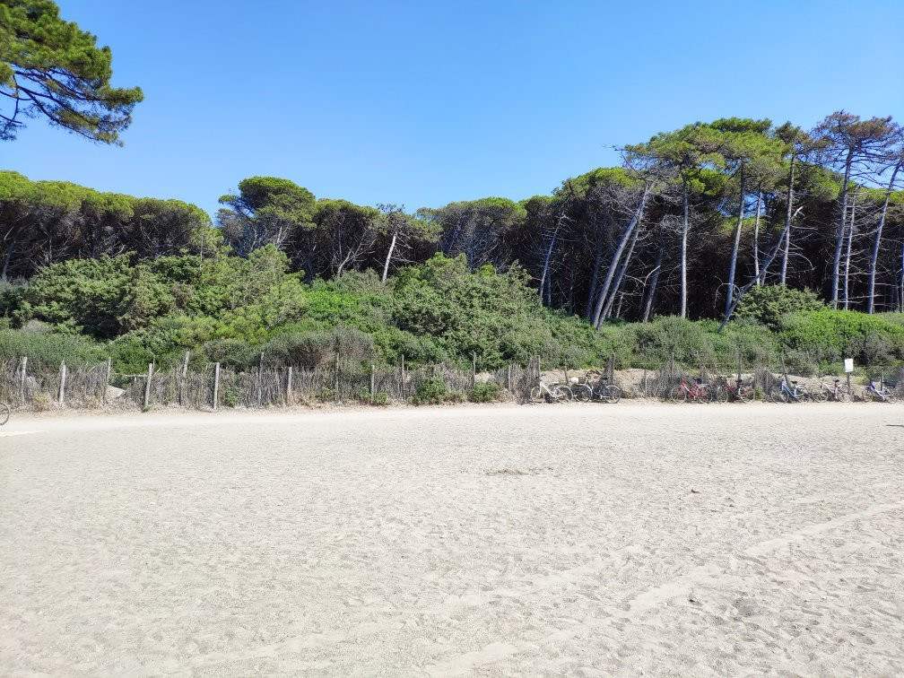 Spot1 Surfschool - Le Gorette --Cecina必去景点