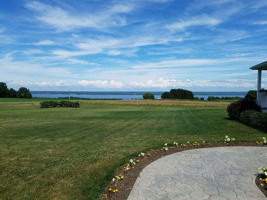 New Vines Bed & Breakfast主图