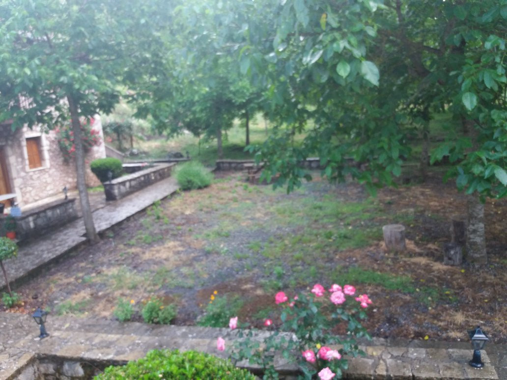 Andrea Sofi Guesthouse主图