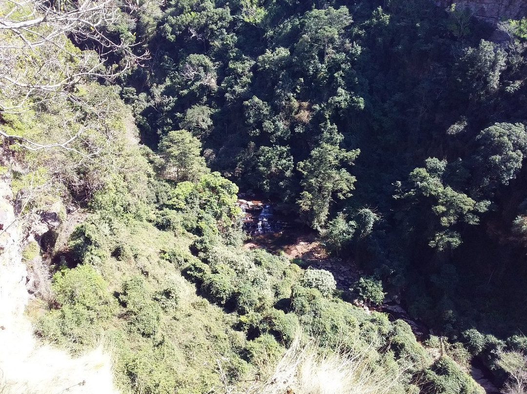 Krantzkloof Nature Reserve景点图片