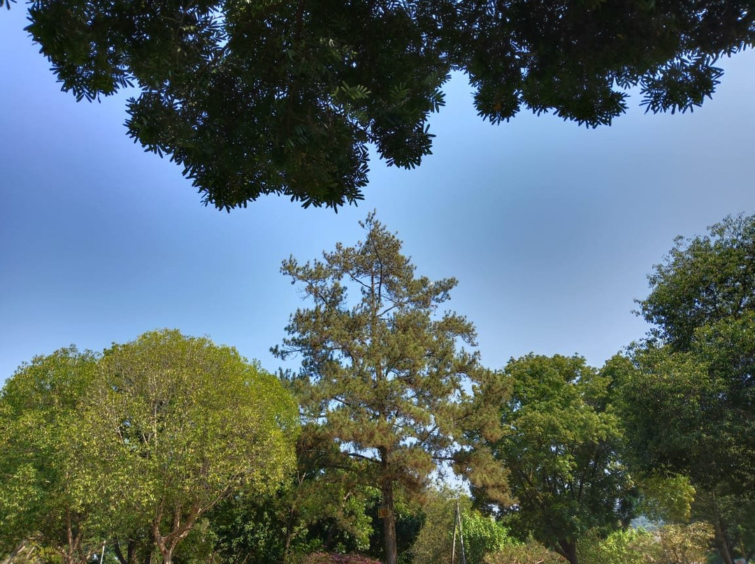 Taman Wisata Selorejo景点图片