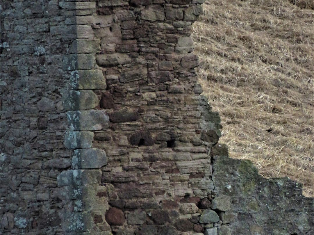 Corston Tower景点图片