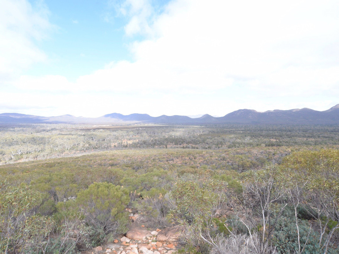 Wangara Lookout景点图片