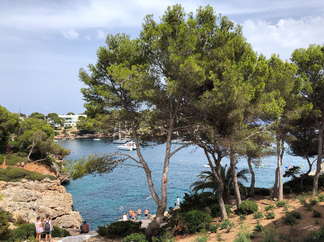 Inturotel Cala Azul主图