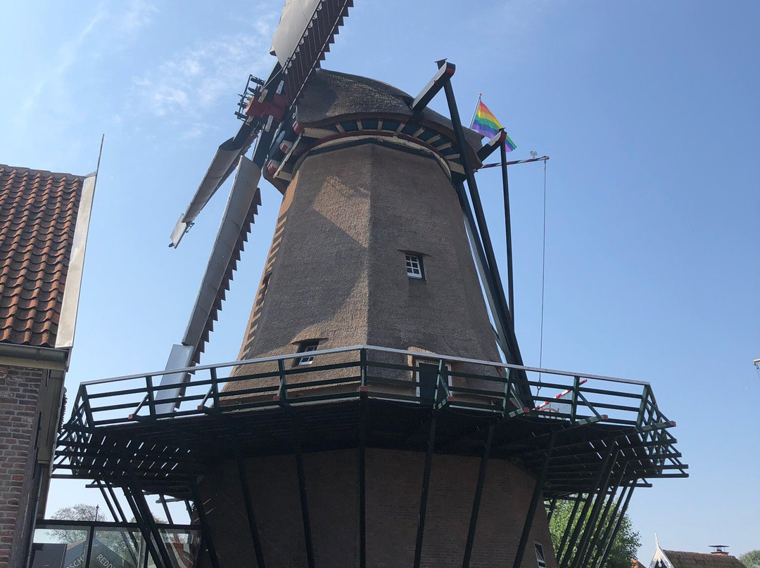 Molen de Traanroeier Oudeschild Texel景点图片