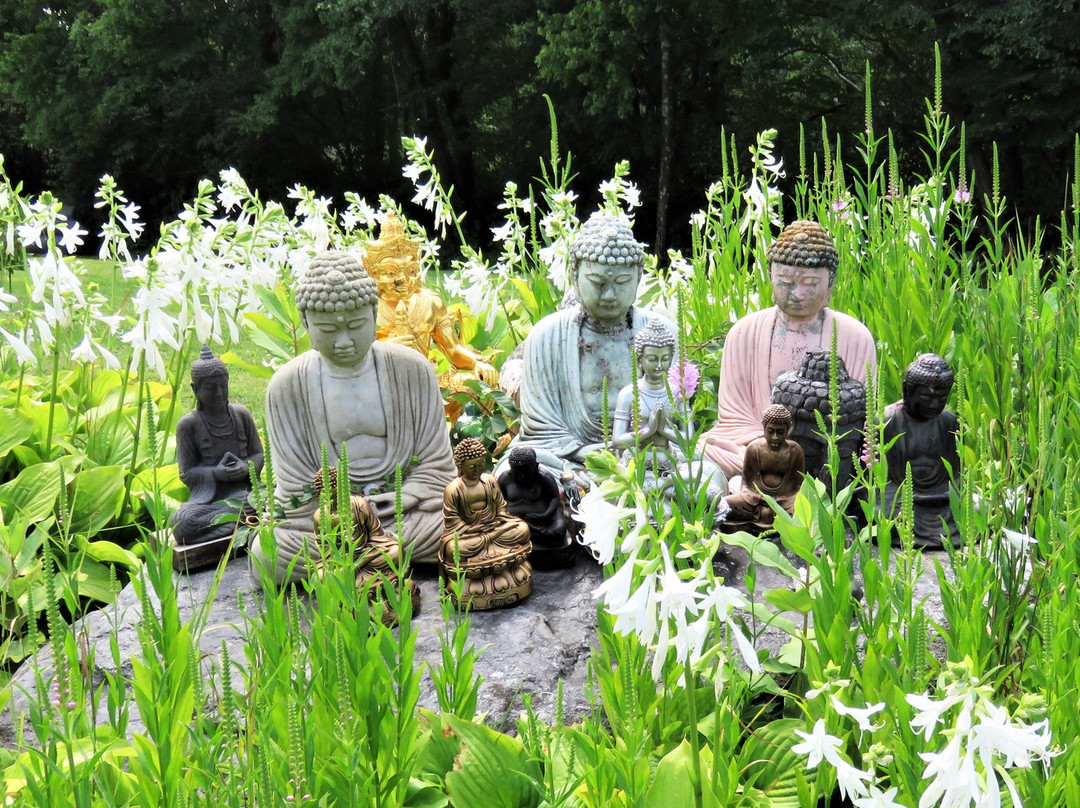 Buddha Ariyamett Aram Temple-Morris必去景点
