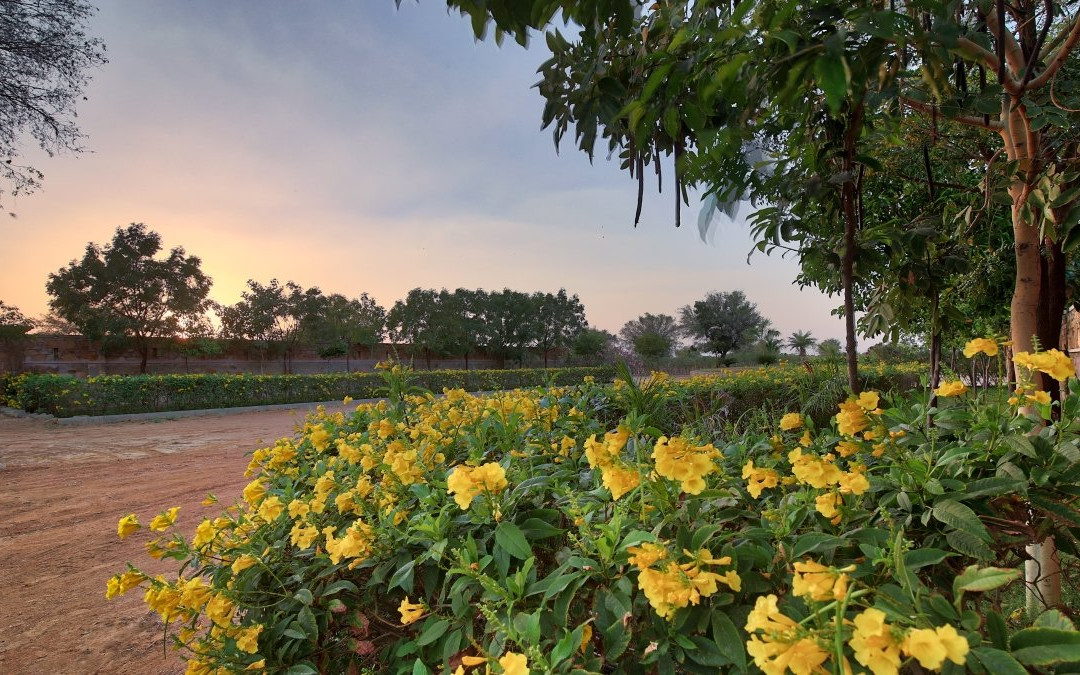 The Imperial Farm主图