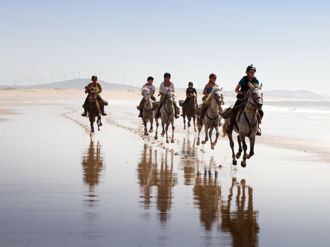 Zouina Cheval-索维拉必去景点