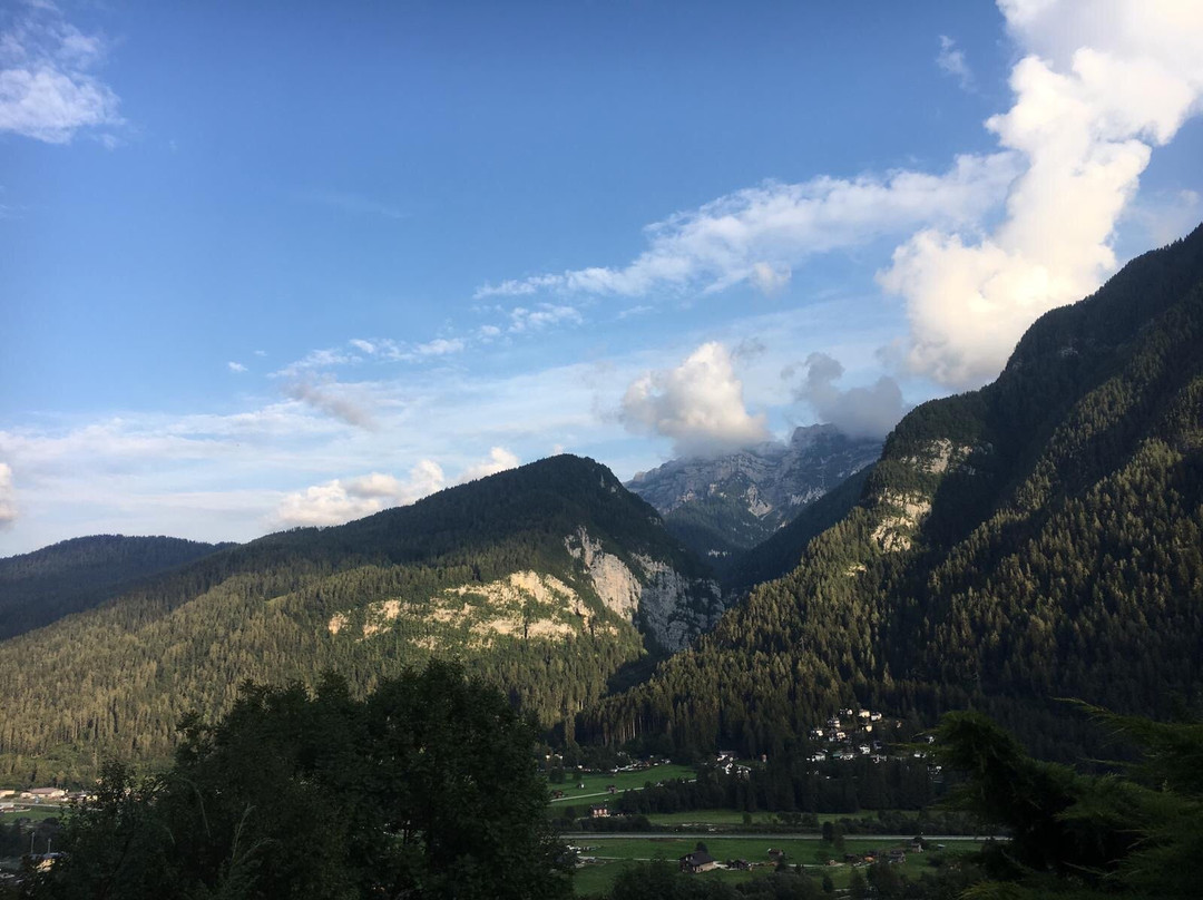 Il Ciliegio