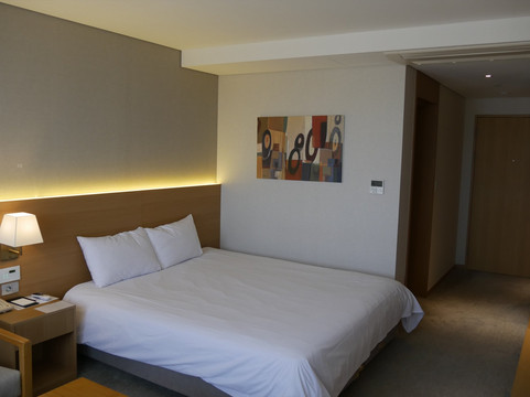 阿斯塔尔酒店主图