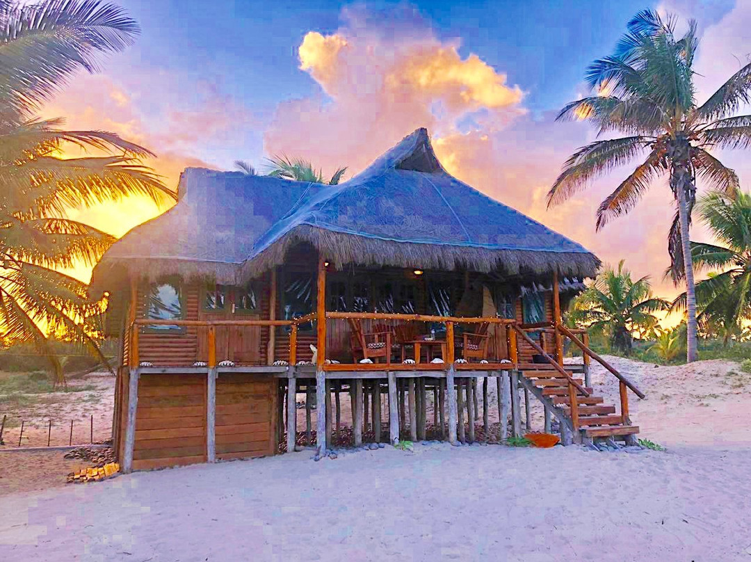 Pura Vida Lodge主图