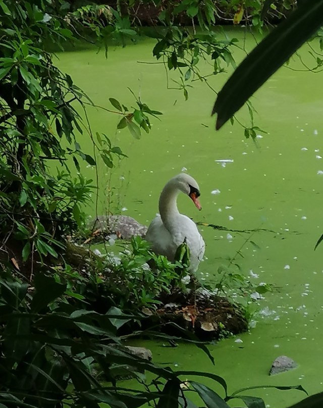 Arboretum de Balaine景点图片