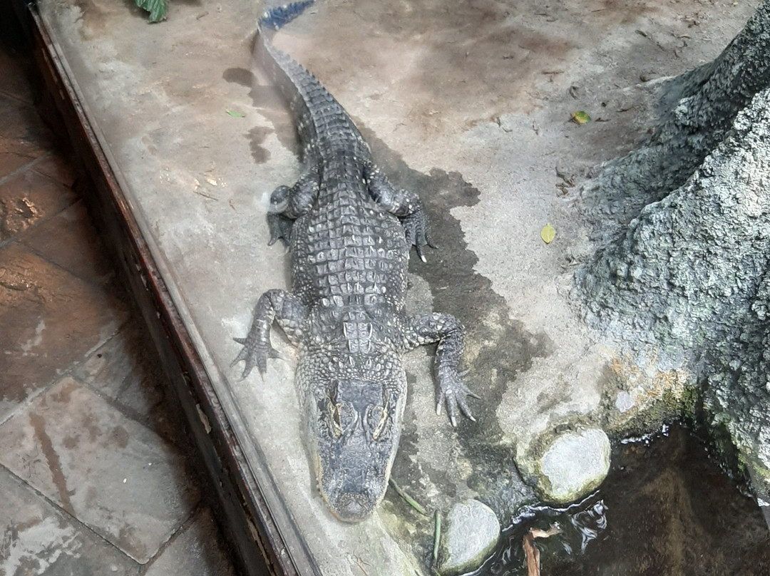 Tropicarium-Kolmarden必去景点