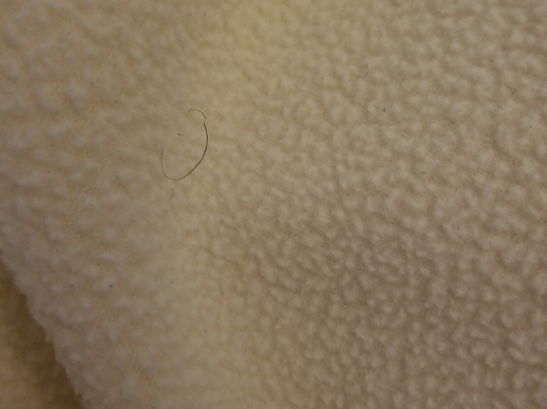 Days Inn by Wyndham Paris主图