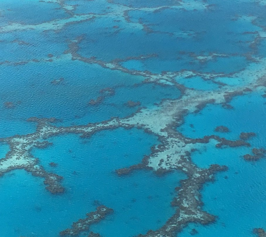 Tahiti Air Lagon景点图片