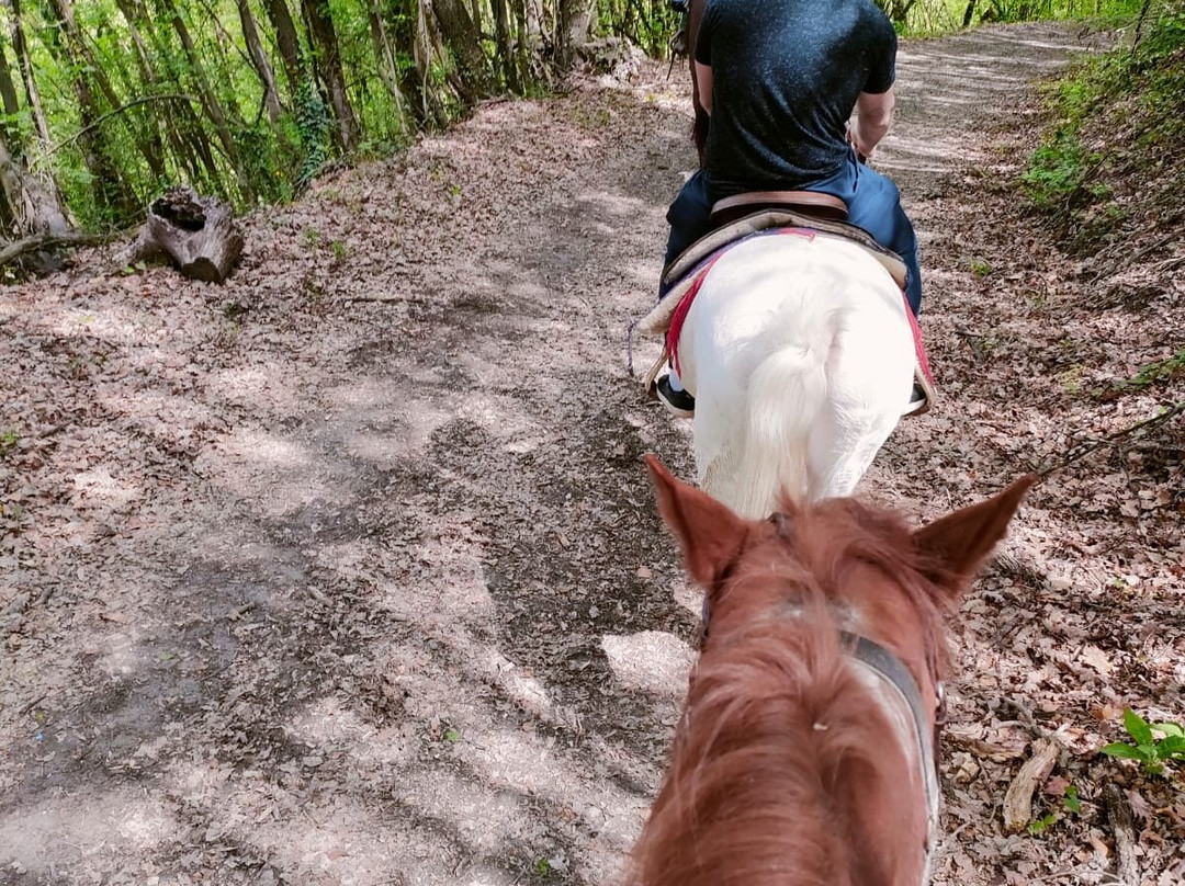 Occhio Con Occhio A.s.d.-Odalengo Grande必去景点