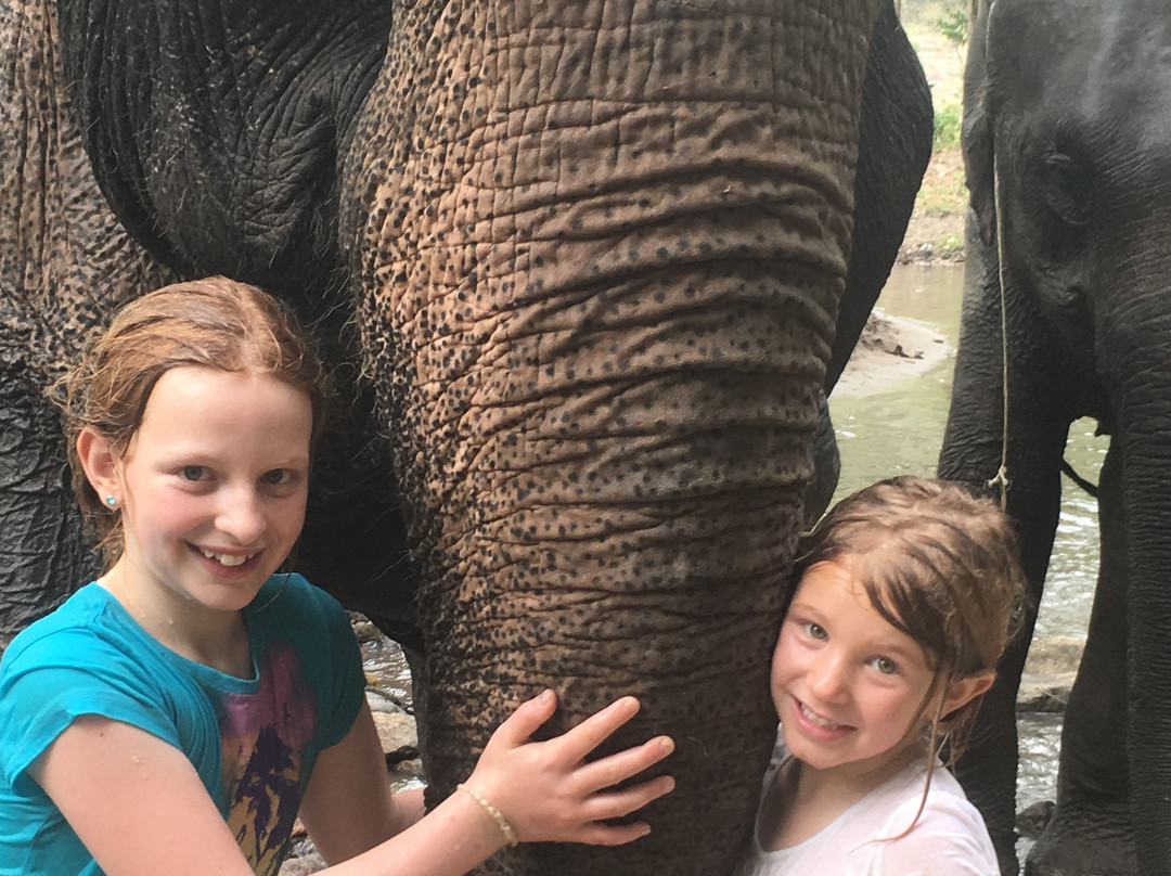 Elephant Special Tours-清迈府必去景点