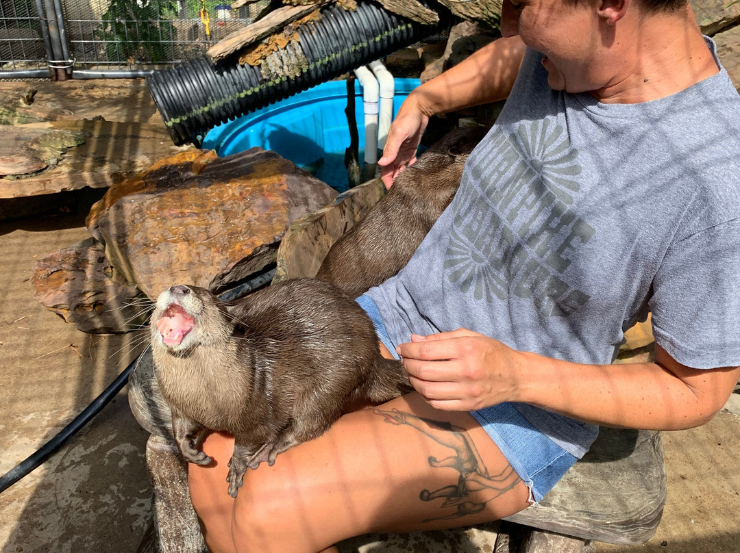 Mini 'S' Exotic Zoo-Mineola必去景点