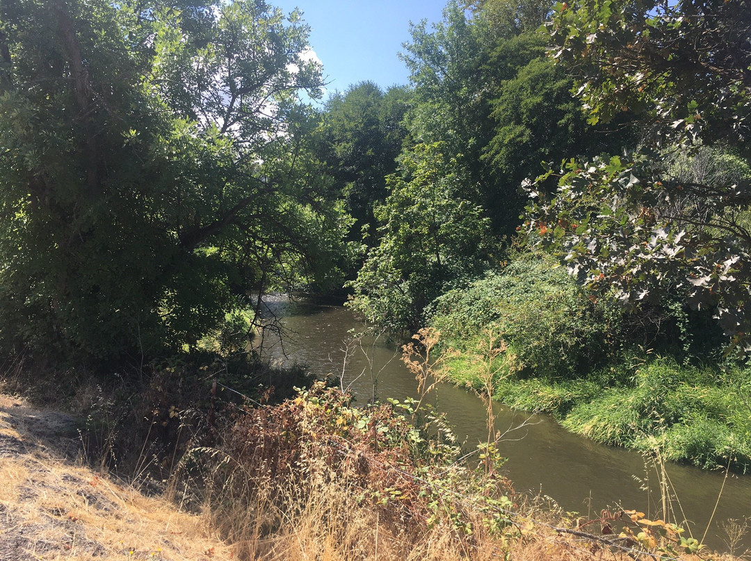 Bear Creek Park景点图片