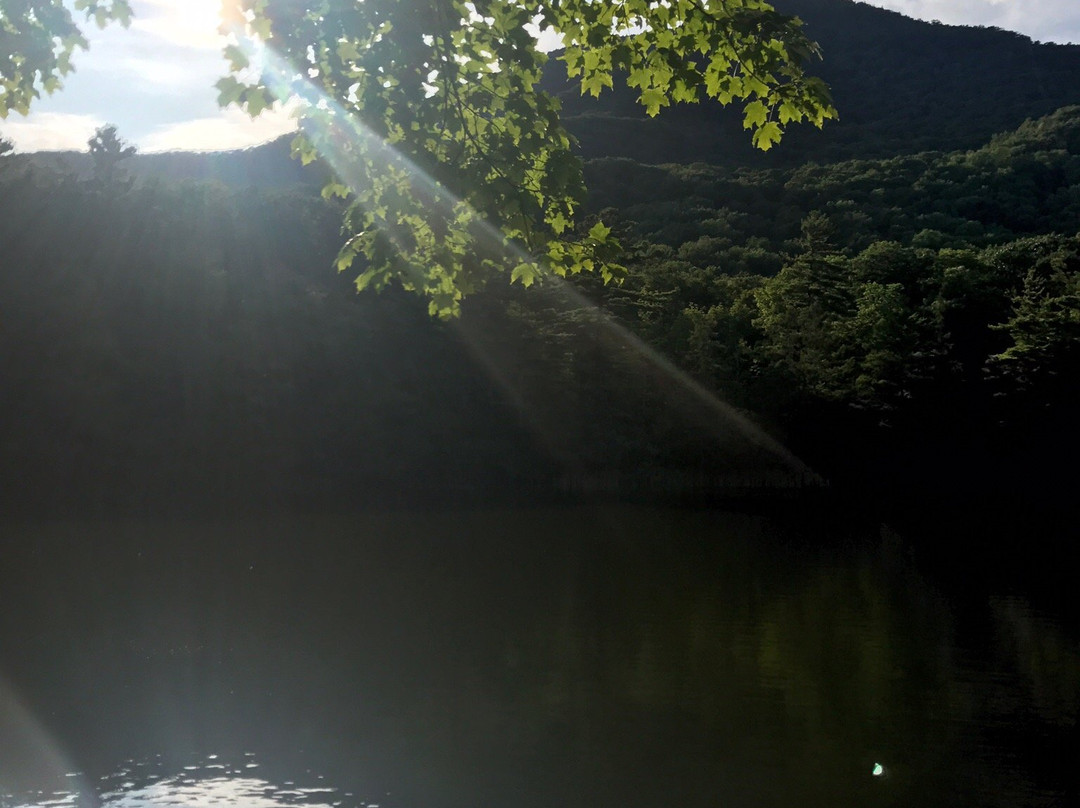 Equinox Preservation Trust-曼彻斯特必去景点