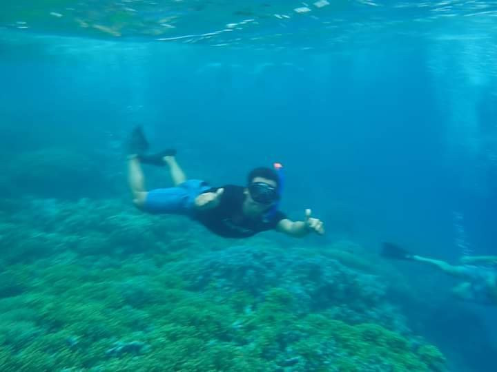Snorkeling Menjangan景点图片