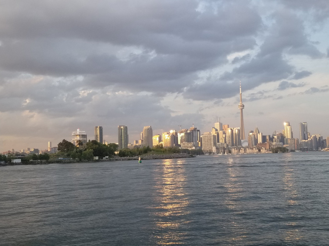 City Cruises Toronto景点图片