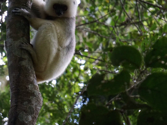 Nadège Rinot-桑巴瓦必去景点