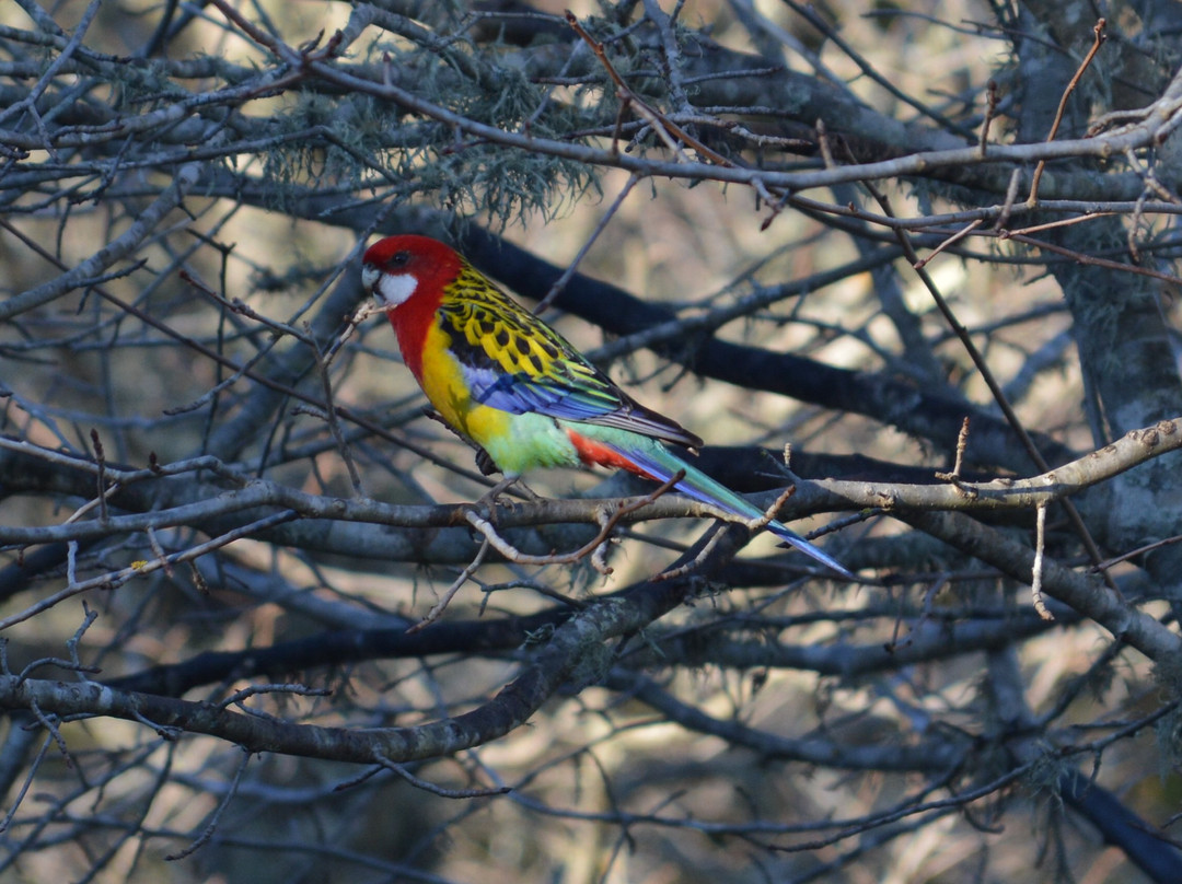 Mossgrove Bed and Breakfast主图