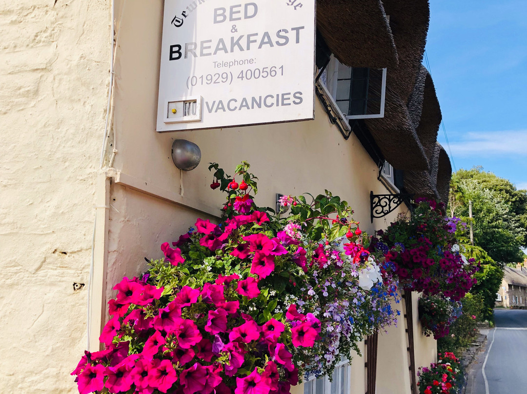Tewkesbury Cottage主图