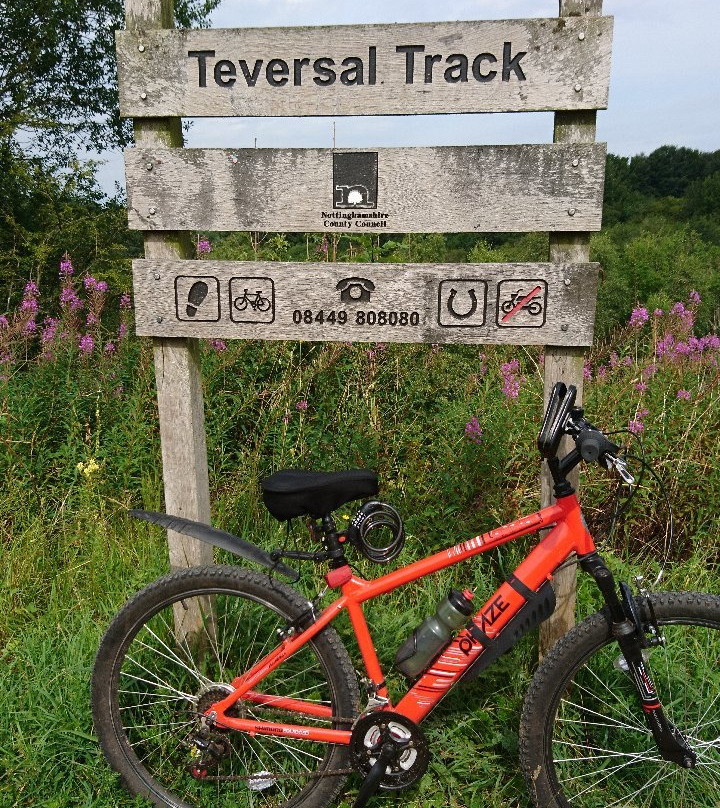 Teversal Trail景点图片