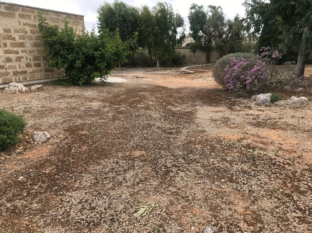 Masseria Tenuta Specolizzi主图