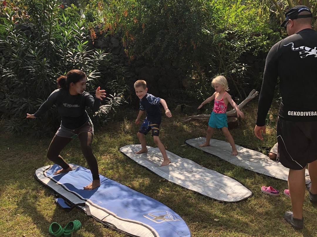 Nemberala Beach Surf School景点图片