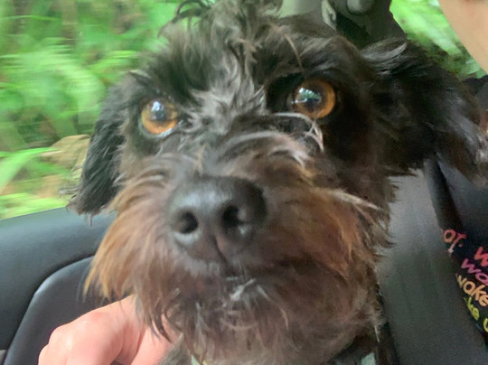 Epic Experience Adventure tours-毛伊岛必去景点