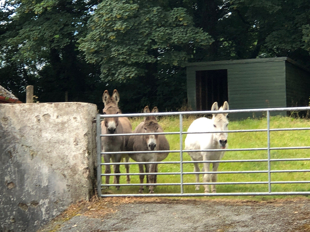 Pembrokeshire Farm B&B主图