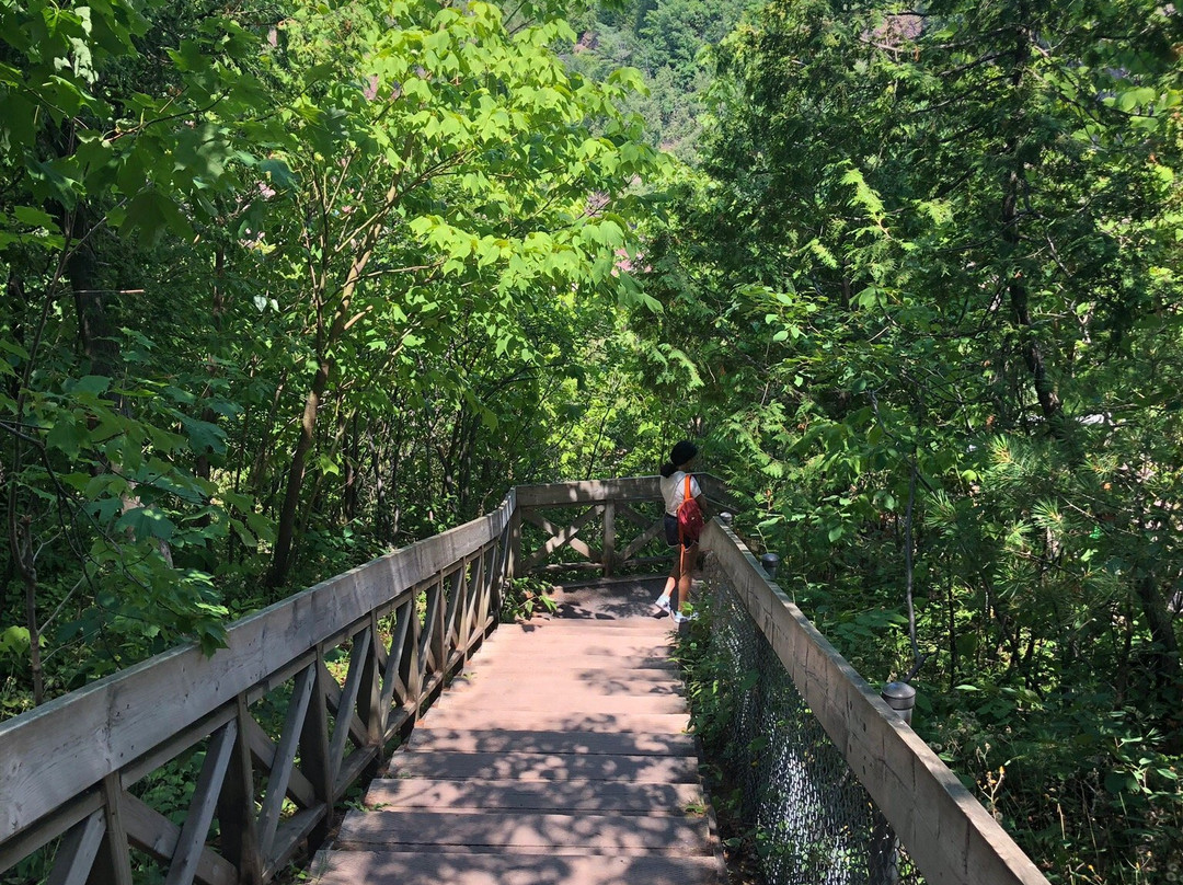 Chutes de la Chaudière景点图片