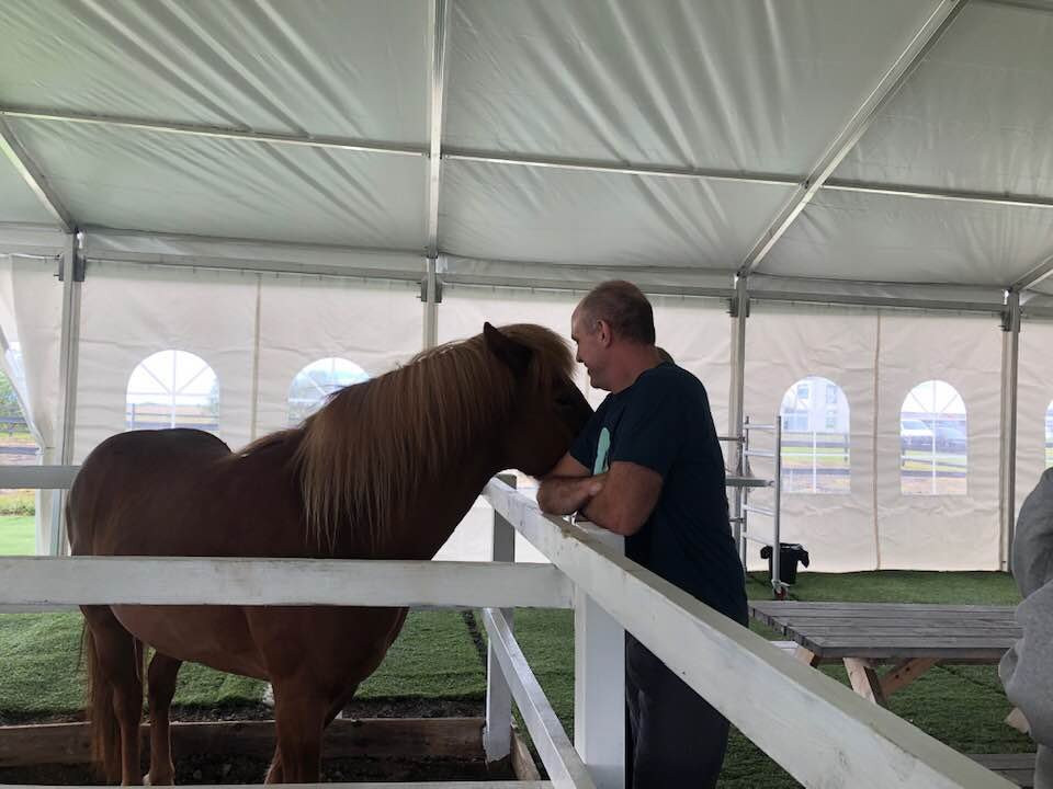 Heimavöllur Hestsins-霍尔斯沃德吕尔镇必去景点