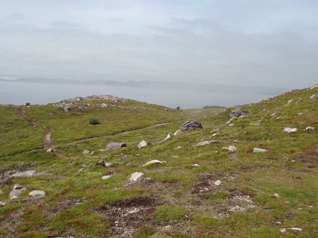 Ferryland Town景点图片