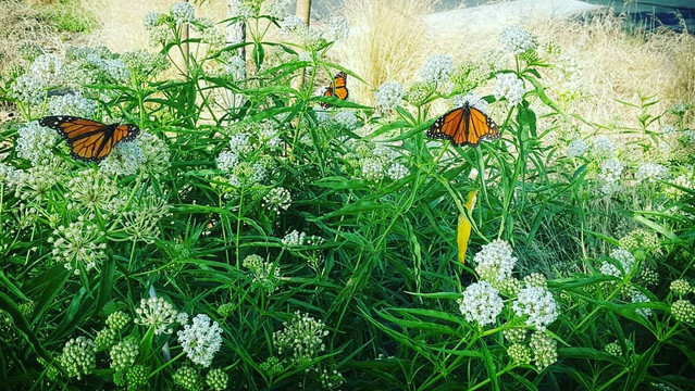 Santee Lakes-Santee必去景点