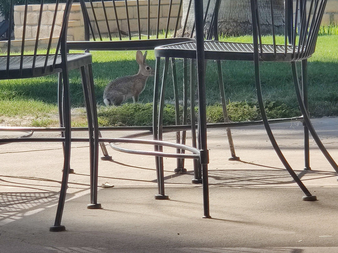 The Palms At Indian Head主图