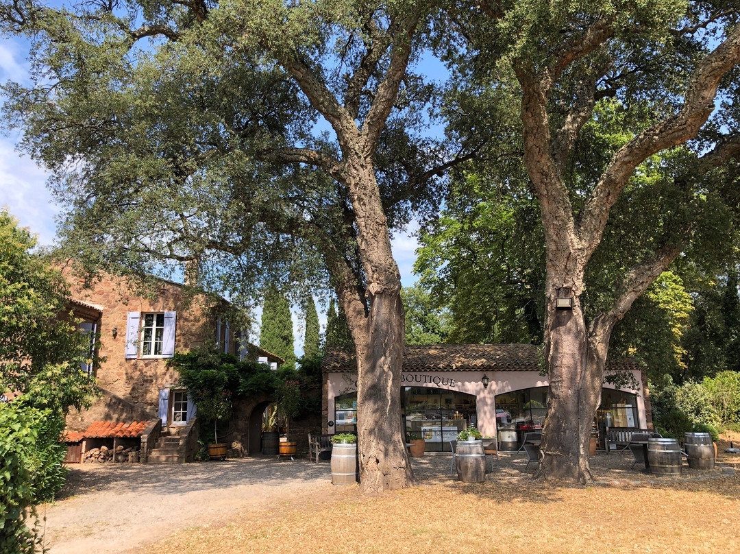 贝特朗德兹城堡酒店