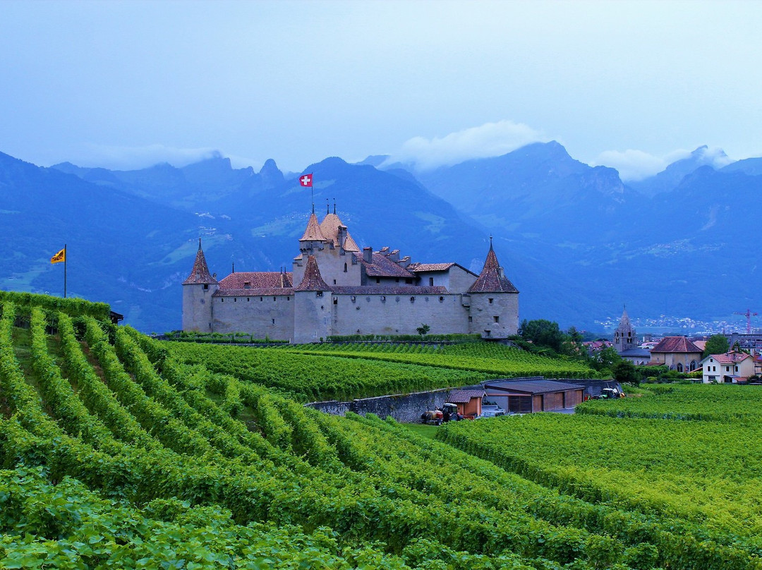 Swiss Private Tours景点图片