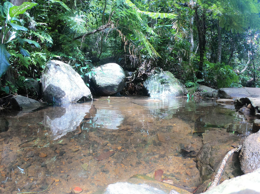 Explore Sinharaja Rain Forest Tour-Deniyaya必去景点